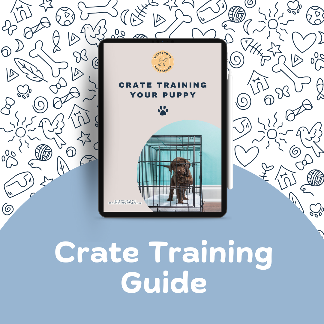 Crate training guide hot sale