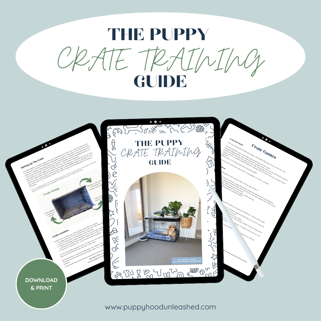 The Puppy Crate Training Guide