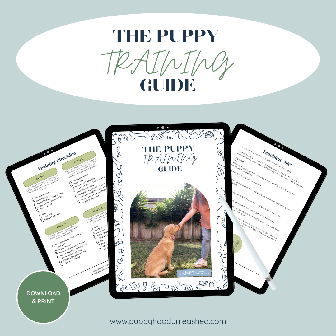 The Puppy Training Guide & Checklist