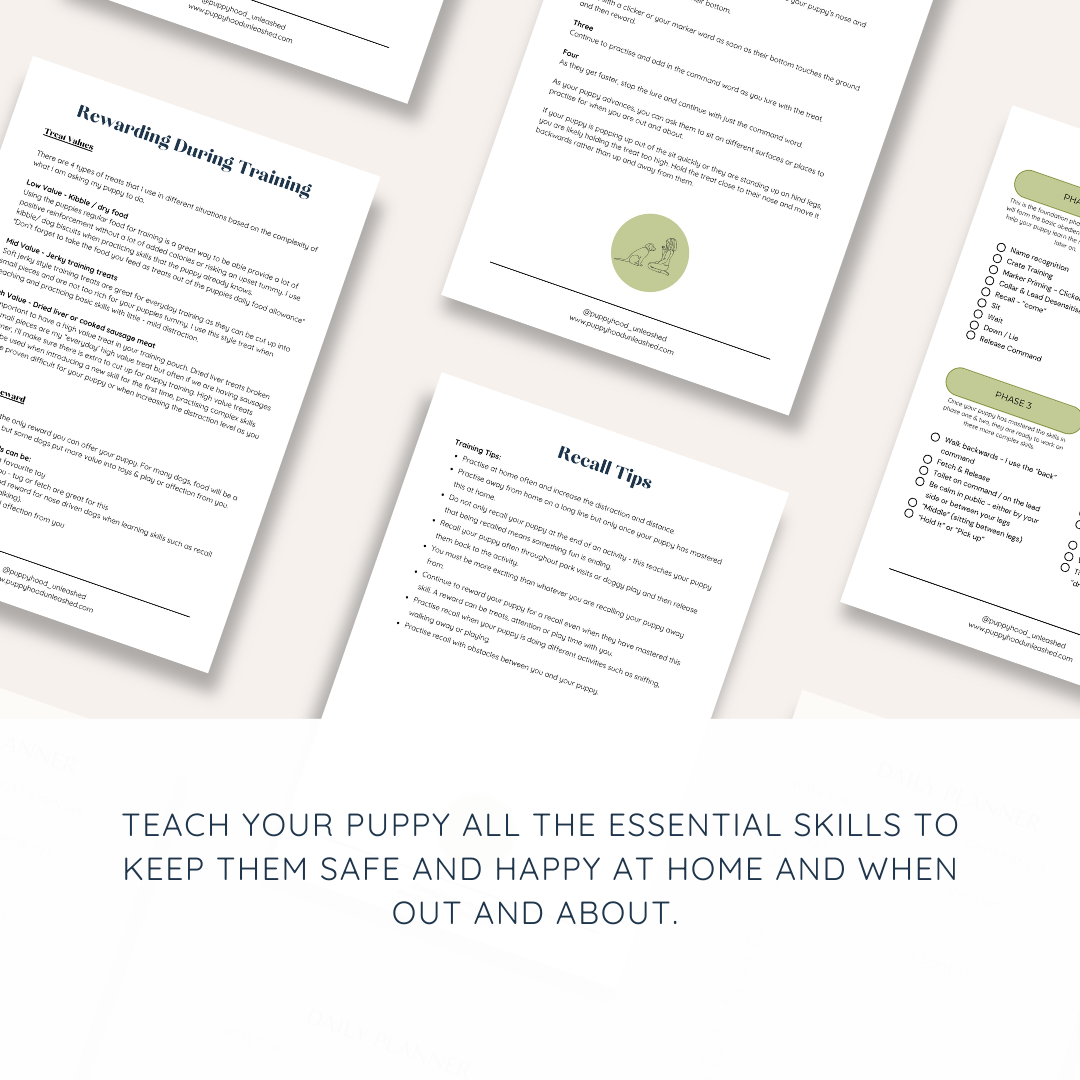 The Puppy Training Guide & Checklist