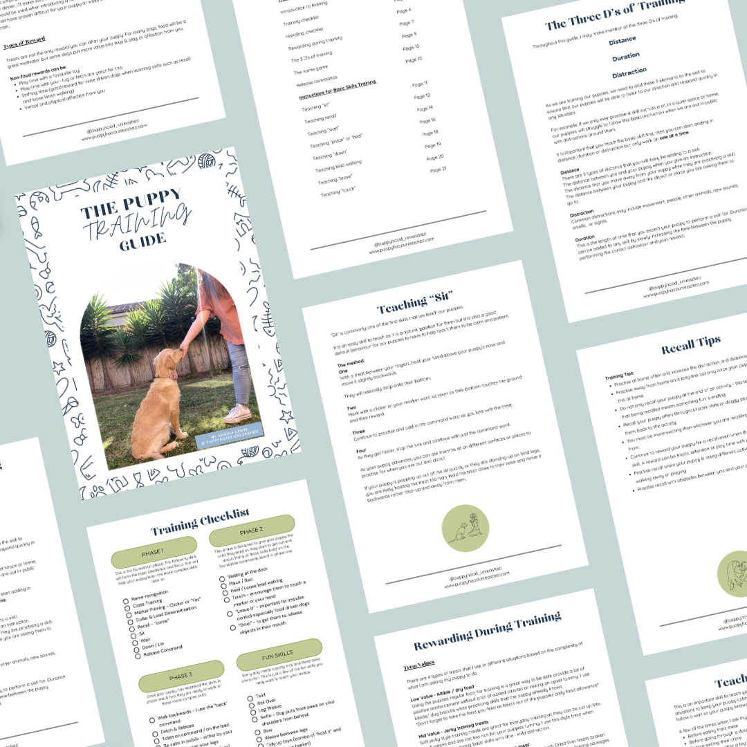 The Puppy Training Guide & Checklist