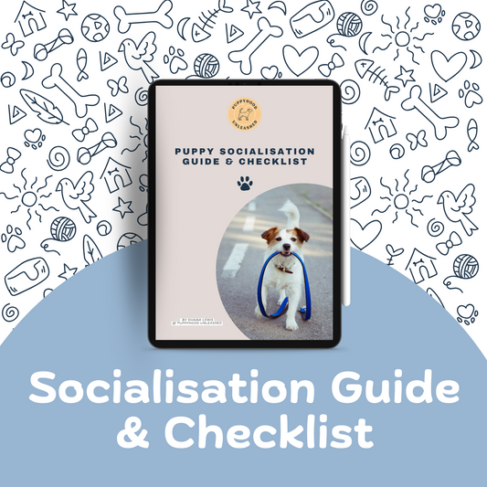 Puppy Socialisation Guide & Checklist