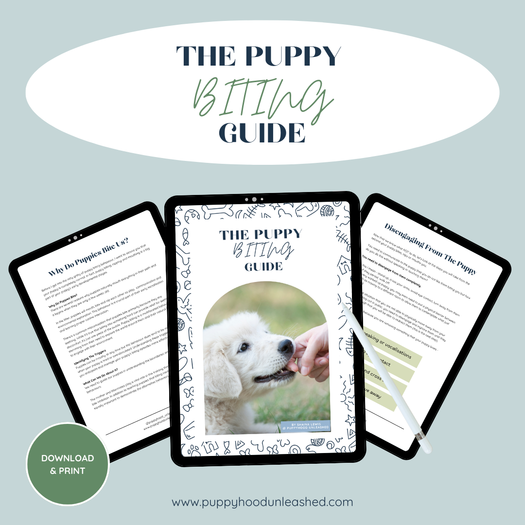 The Puppy Biting Guide
