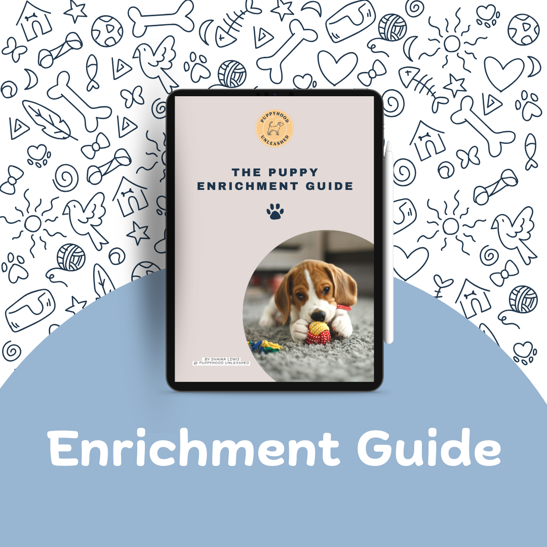 Puppy Enrichment Guide