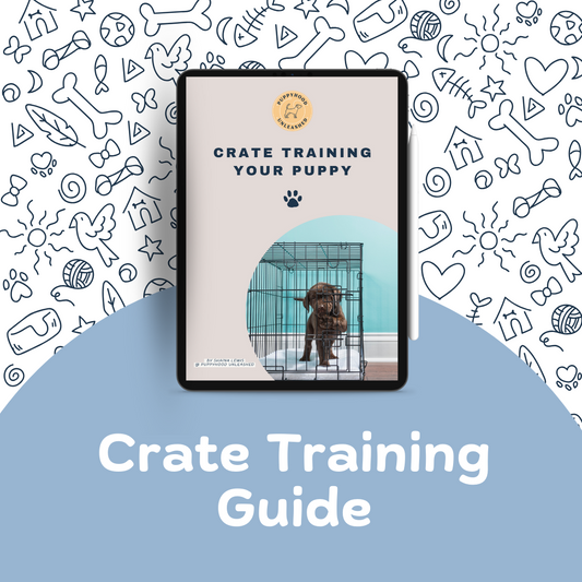 Crate Training Guide