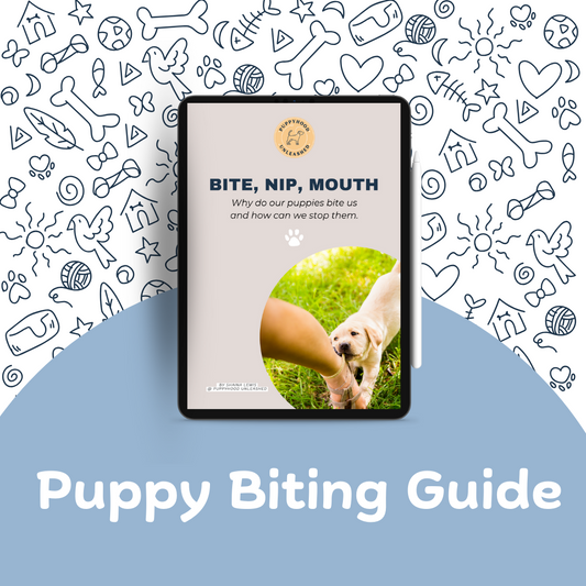 Puppy Biting Guide