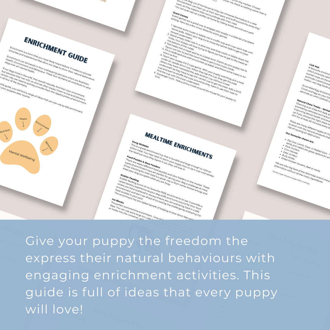 Puppy Enrichment Guide