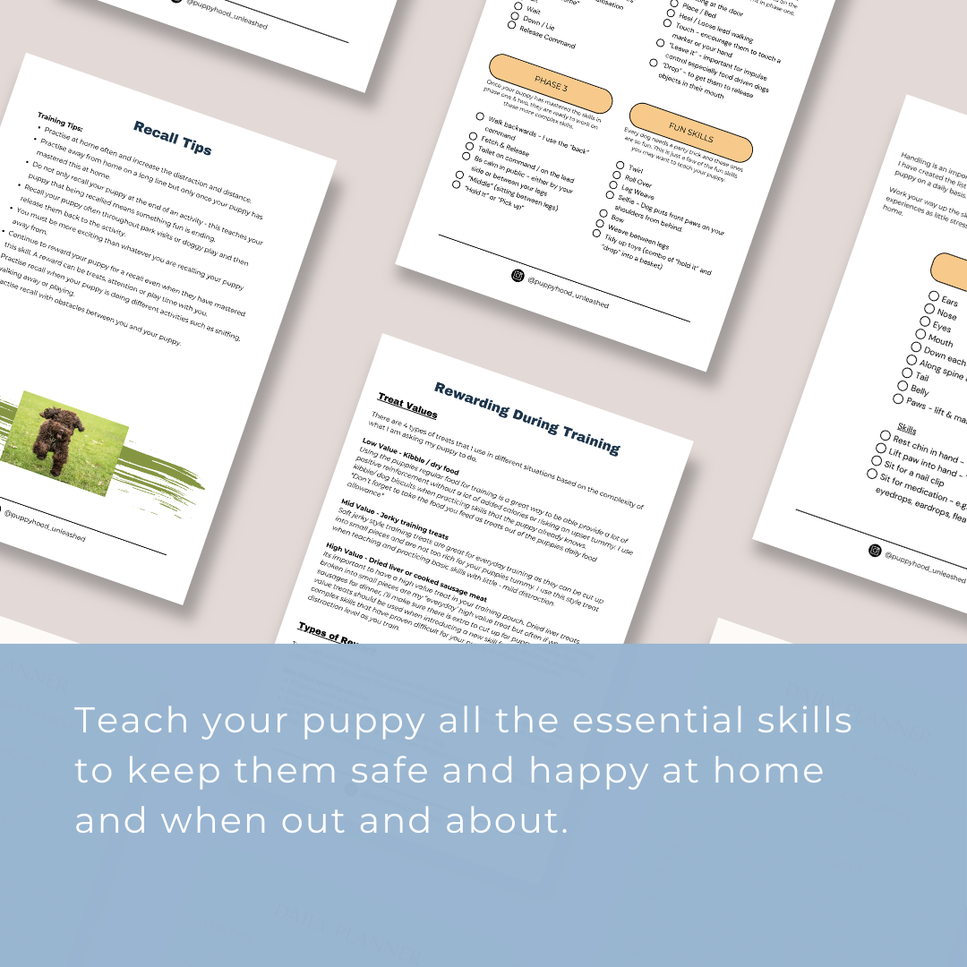 Puppy Training Guide & Checklist