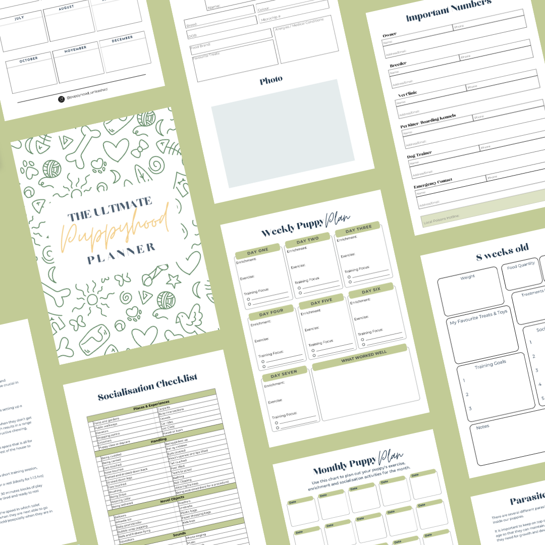 The Ultimate Puppyhood Bundle (Planner + Essential Guide ebooks)