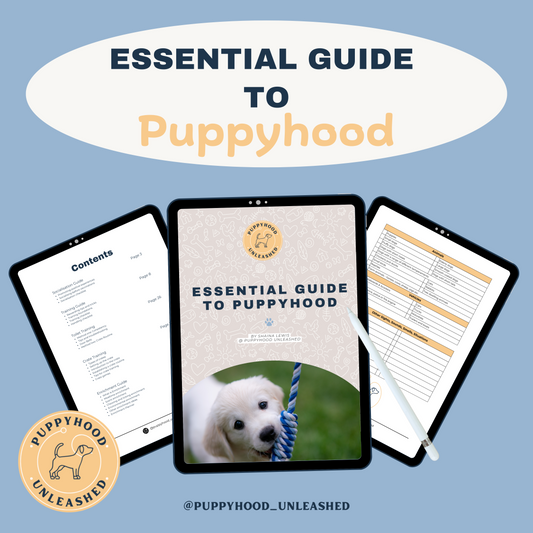 Essential Guide To Puppyhood Bundle