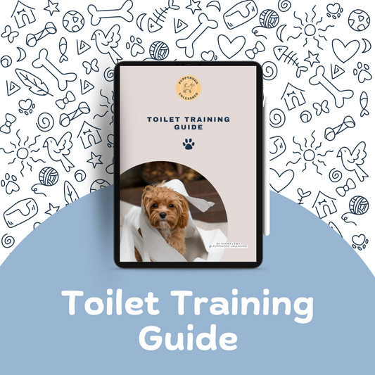 Toilet Training Guide